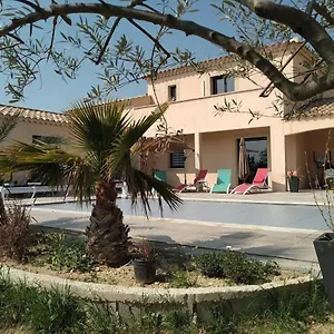 Les Figues Bed and breakfast Caromb